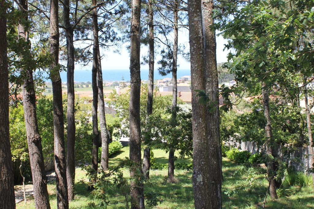 Casa Do Nato -Turismo Rural Виана-ду-Каштелу Экстерьер фото